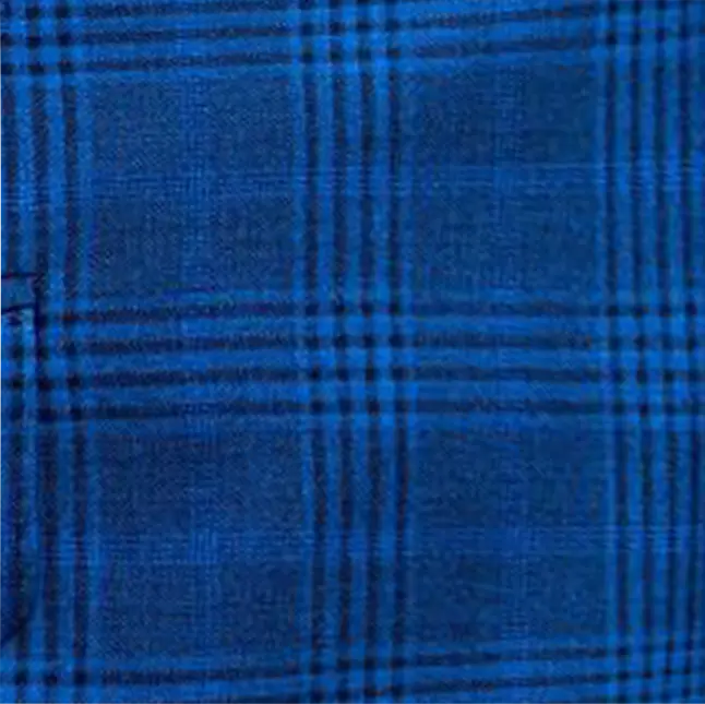 Blue Plaid